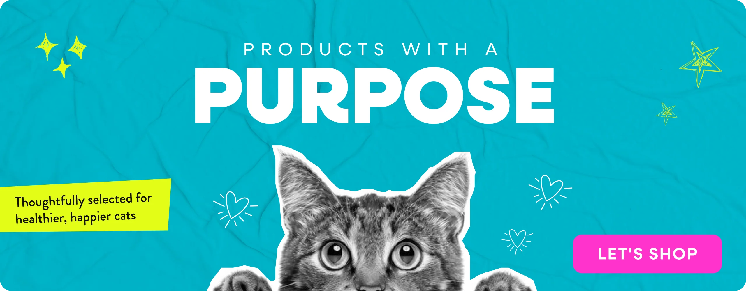 Elevate Your Pet's Lifestyle