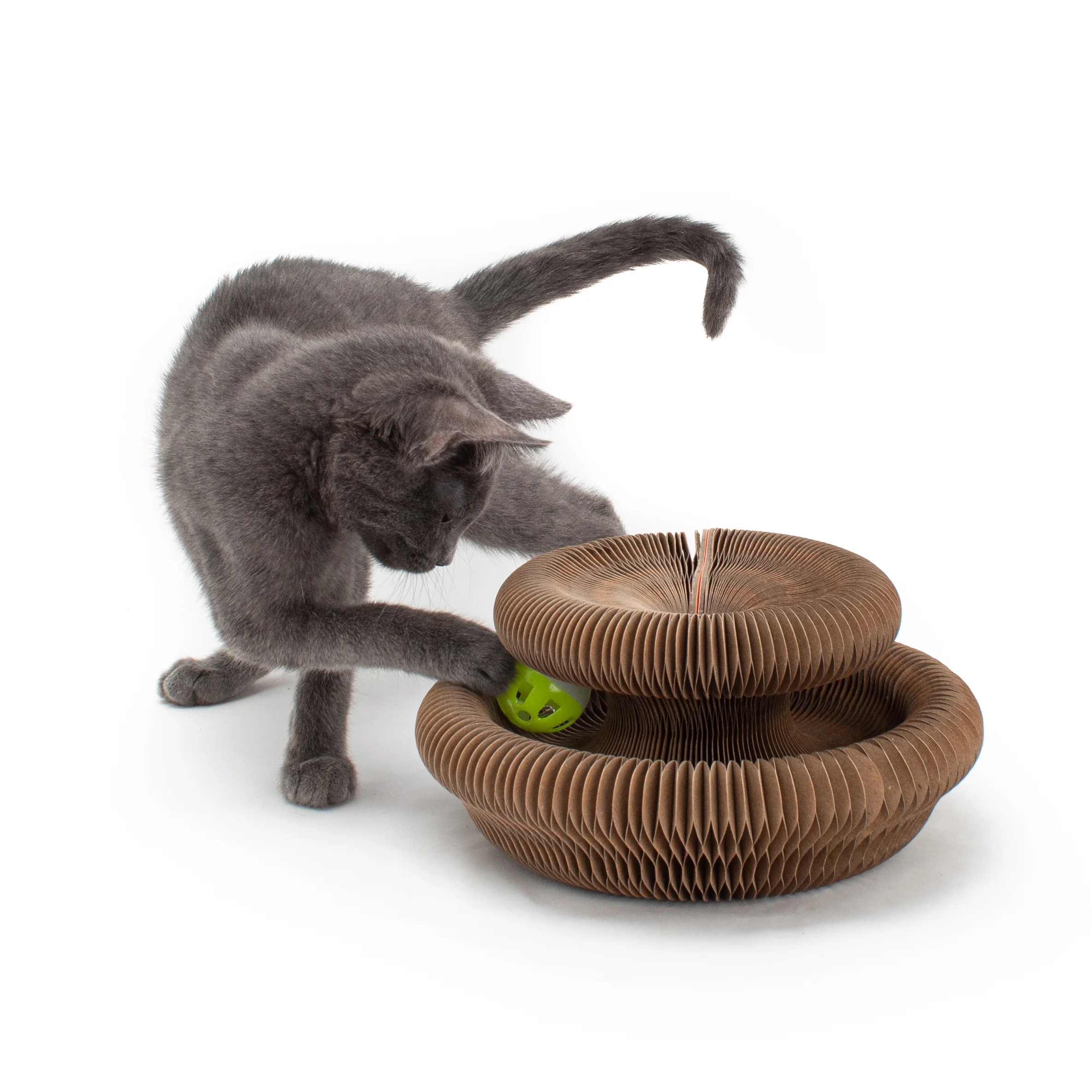 Cardboard Accordion Cat Toy - Image 4