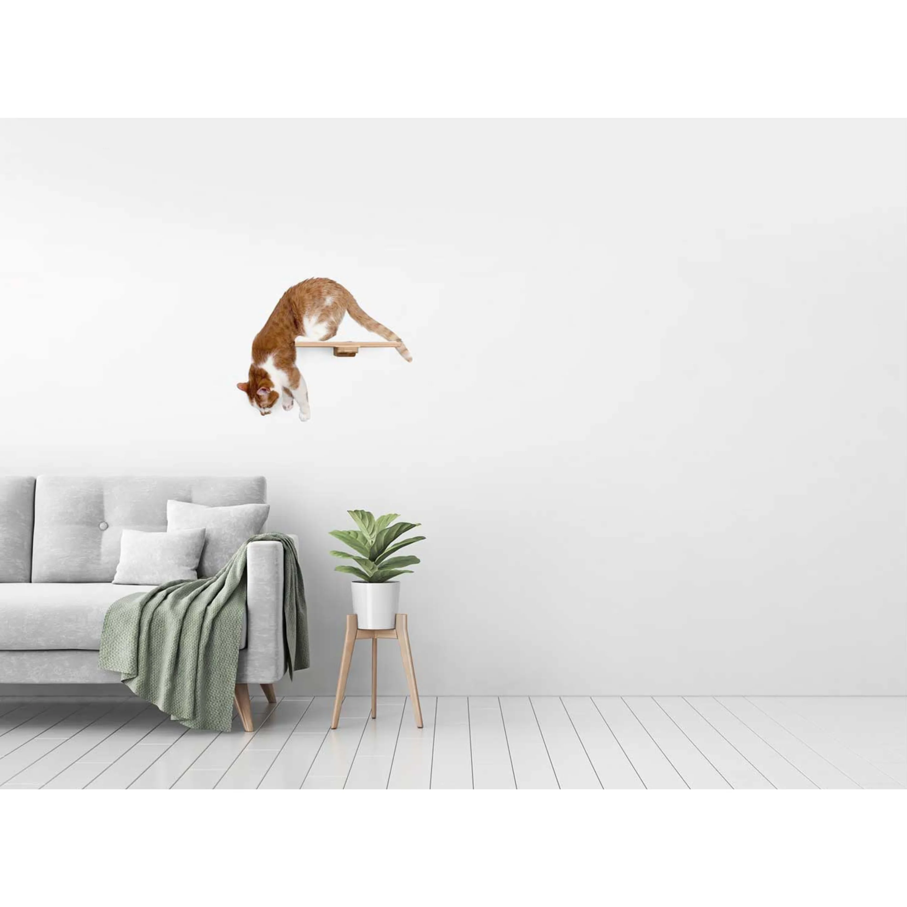 Cat Perch (Shelf) for Wall by Catastrophic Creations - Image 3