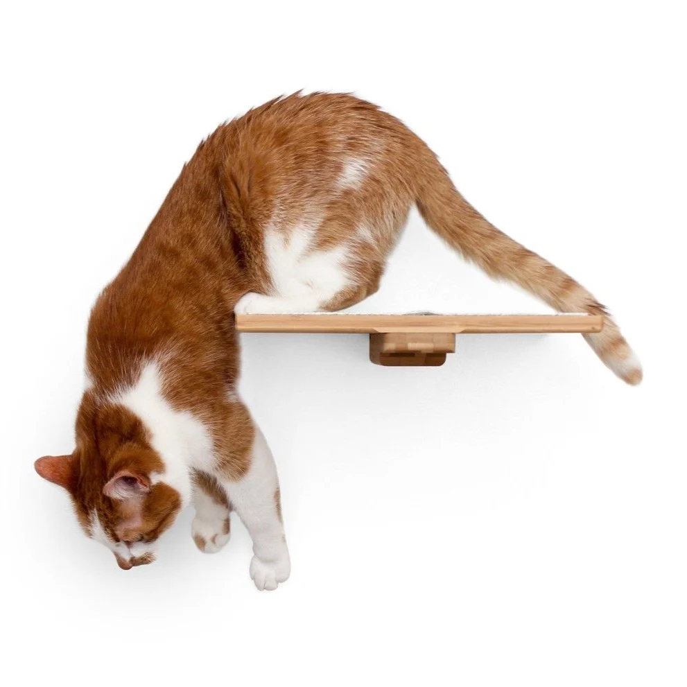 Cat Perch (Shelf) for Wall by Catastrophic Creations - Image 5