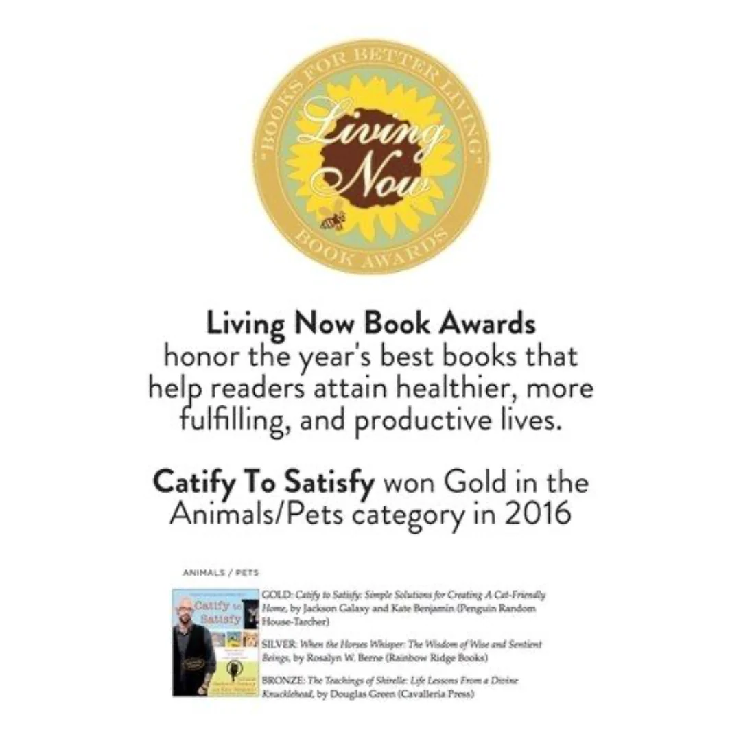 Catify To Satisfy: Simple Solutions for Creating a Cat-Friendly Home - Image 3