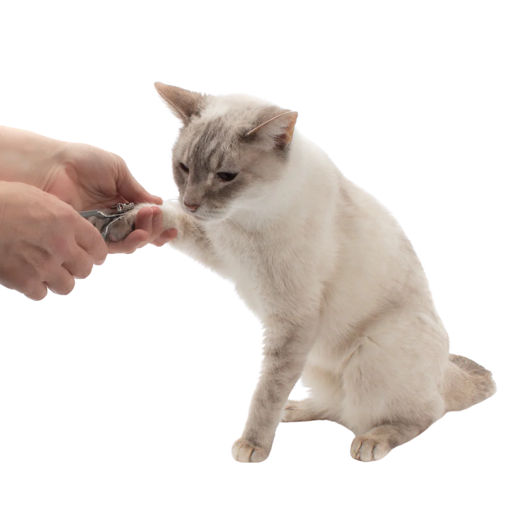 Gentle Grooming Cat Nail Clippers by Jackson Galaxy