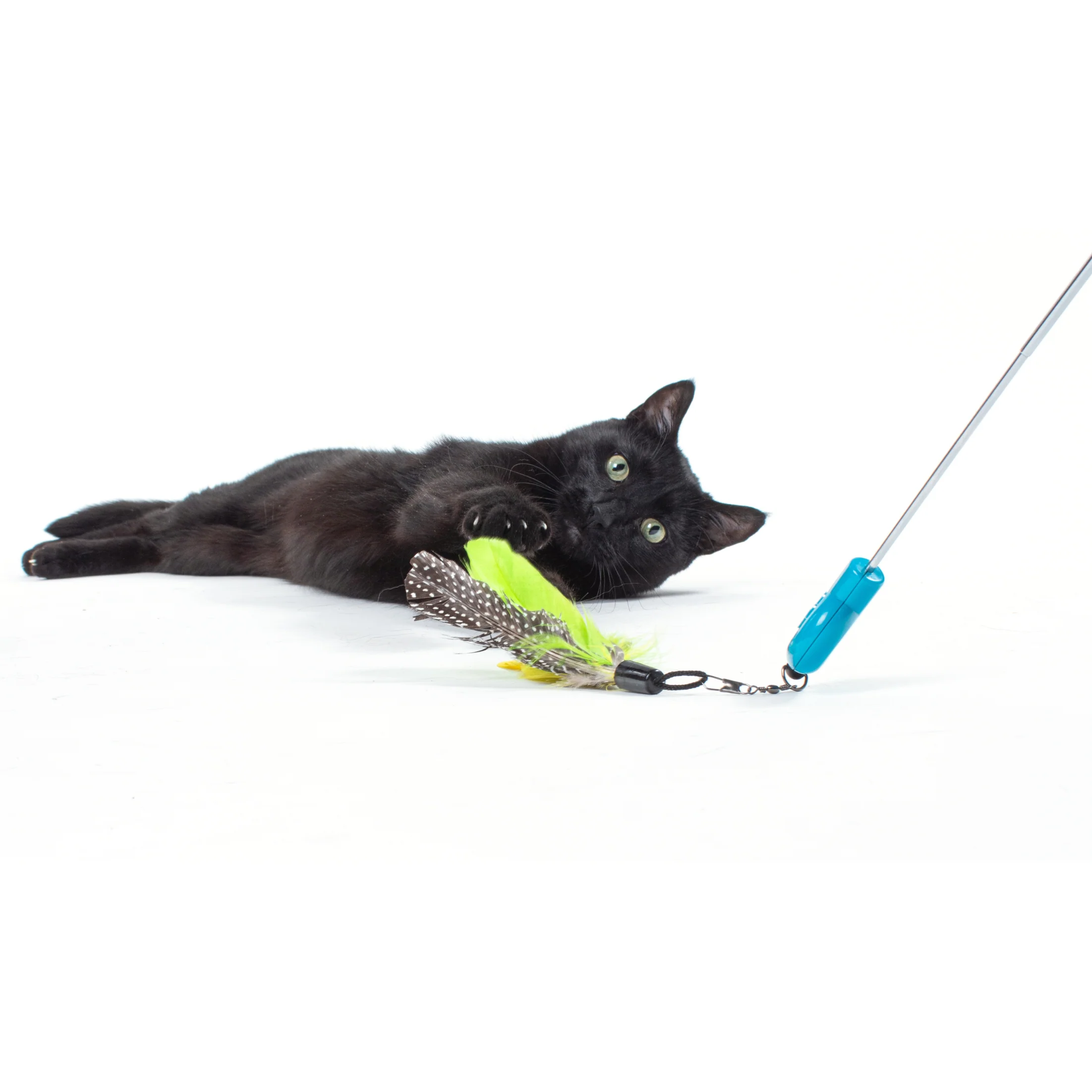 Gotcha! Cat Wand Toy - Image 10