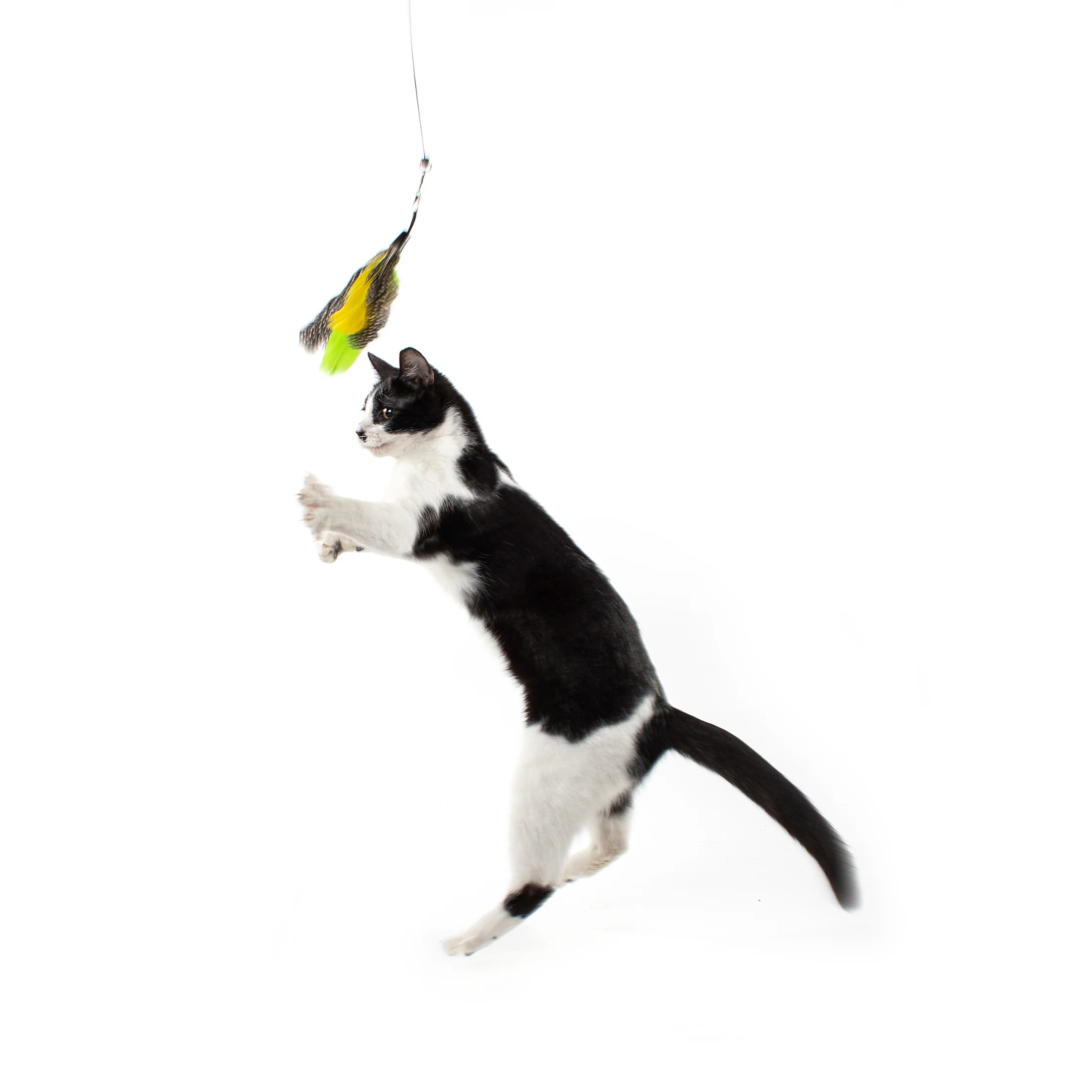 Gotcha! Feather Wand Toy Attachment - Image 5