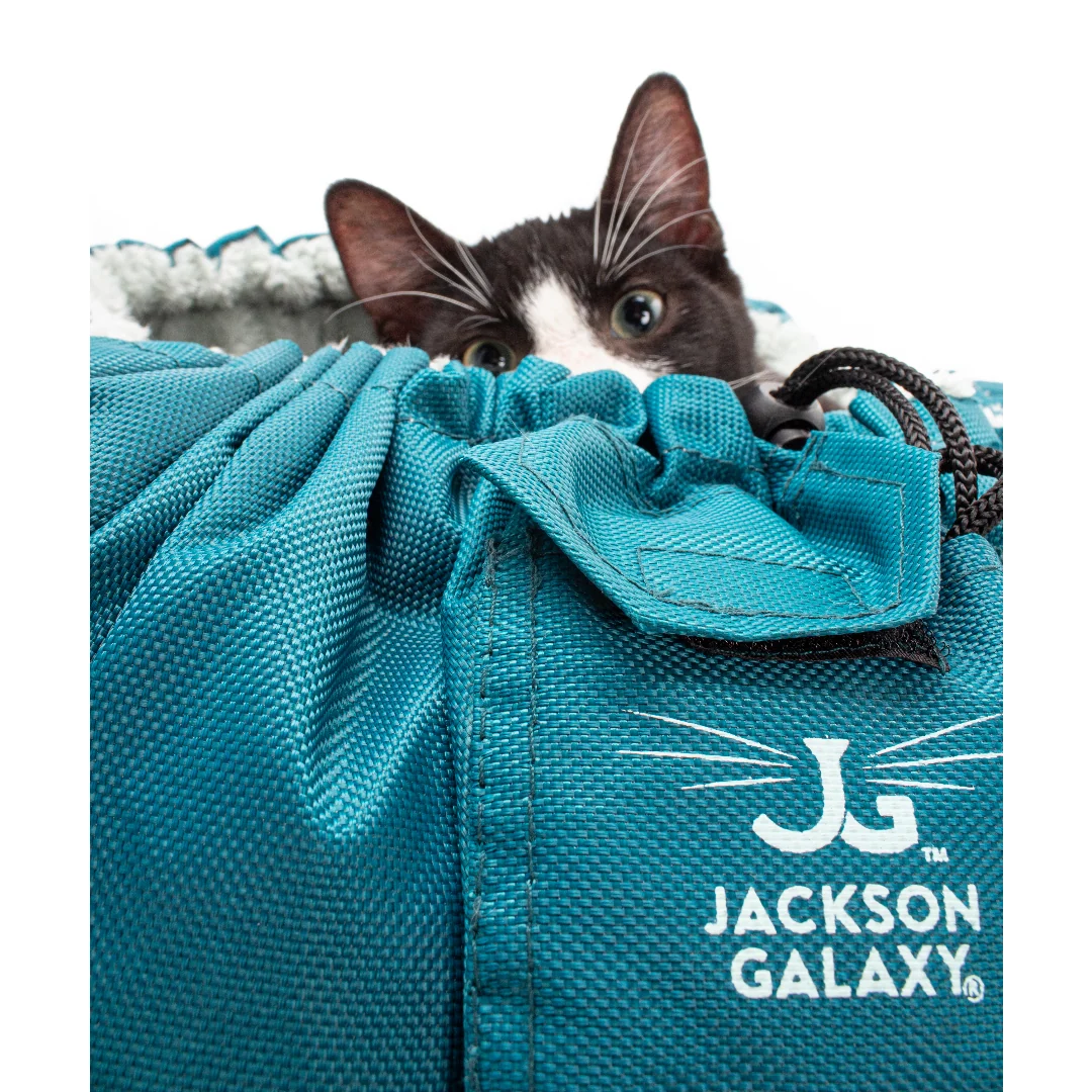 Convertible Clamshell Cat Bed - Image 8