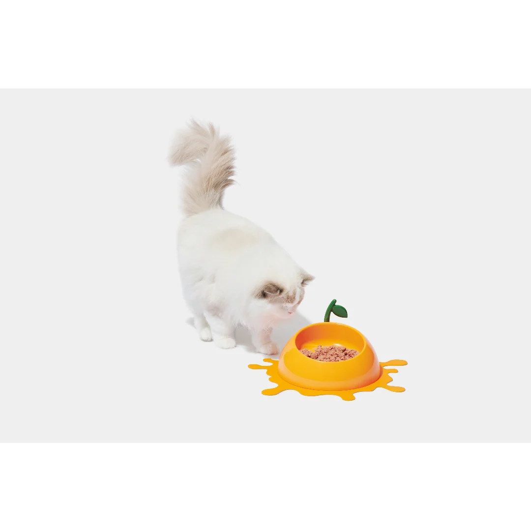 Juicy Tangerine Pet Bowl, Spoon & Mat Set by Vetreska - Image 4
