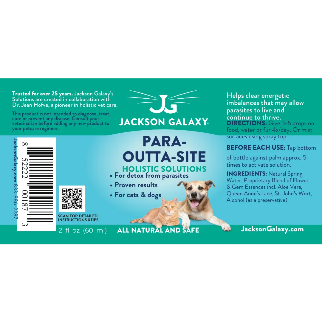 Para-Outta-Site - Image 4
