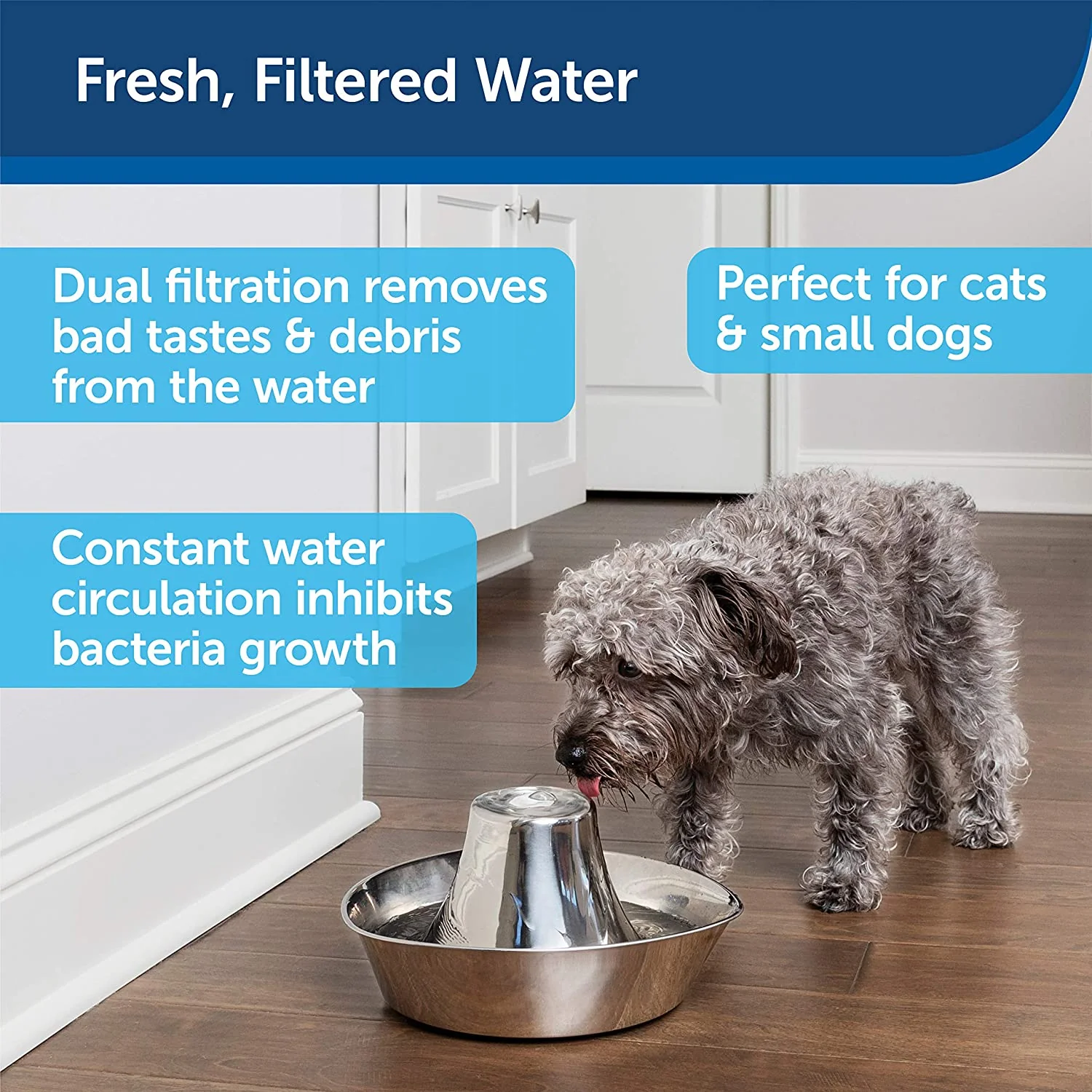 Seaside Stainless Pet Fountain by PetSafe Drinkwell - Image 6