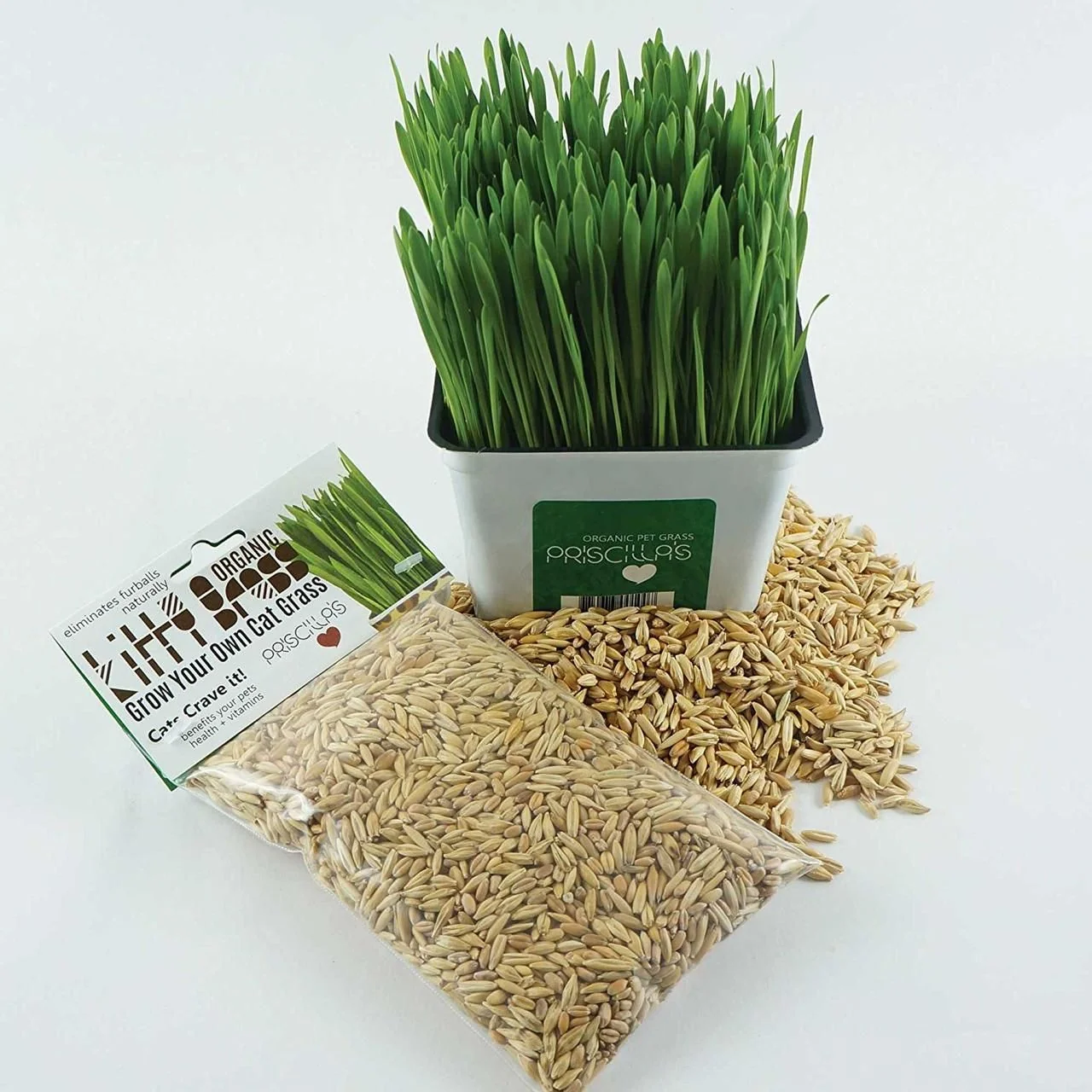 Cat Grass Seed Pack 6x (6 oz total) by Three Farms - Image 3