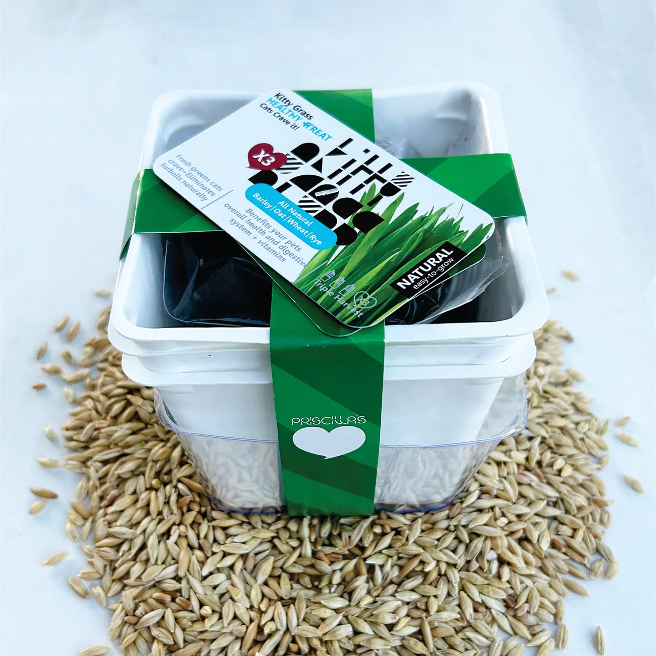 Grow Your Own Cat Grass Kits (3x) by Three Farms - Image 4