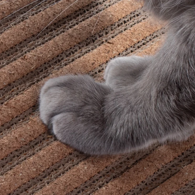 Scratchify! Incline Scratcher by Jackson Galaxy - Image 5