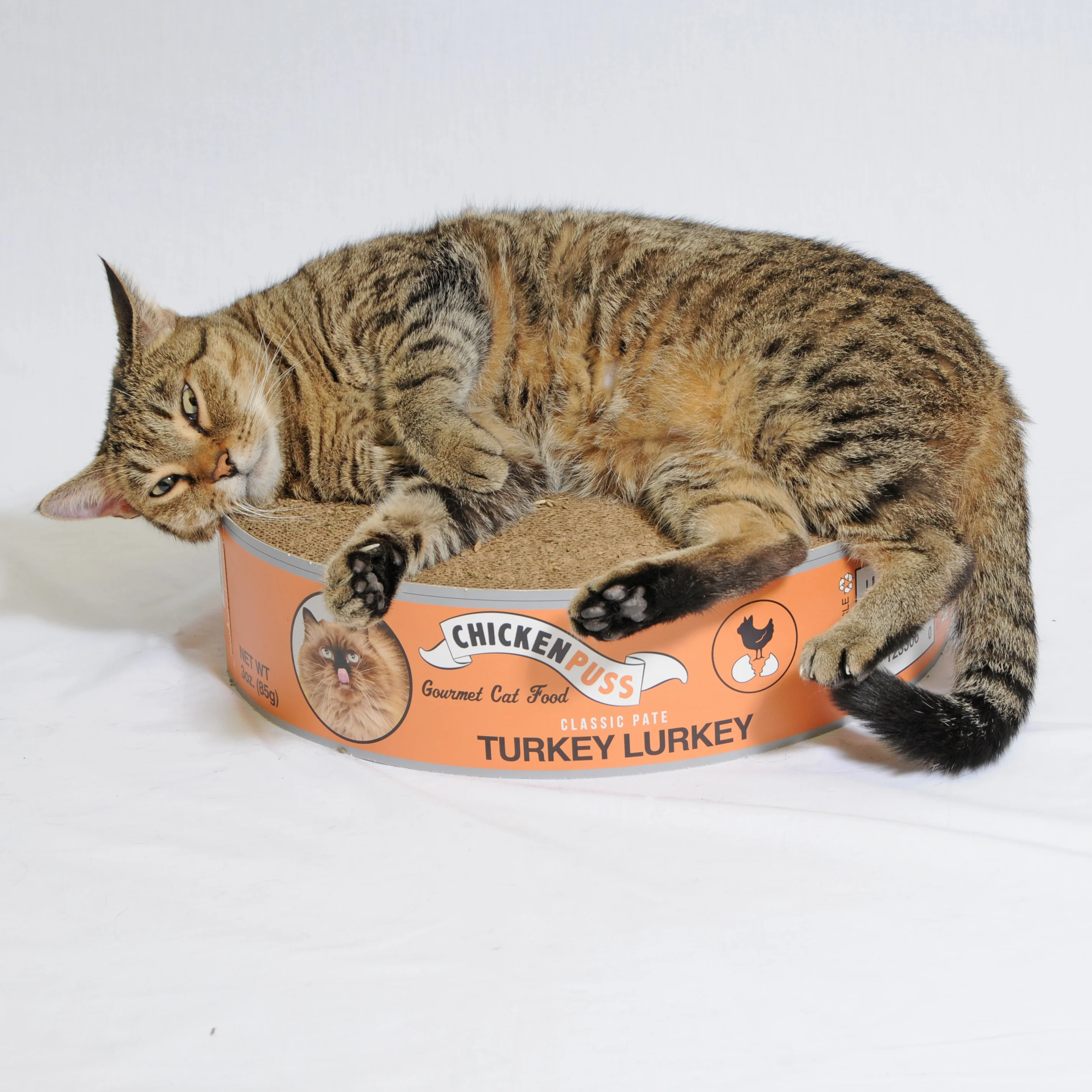 The Endless Buffet Scratch Pad by Square Paws - Image 4