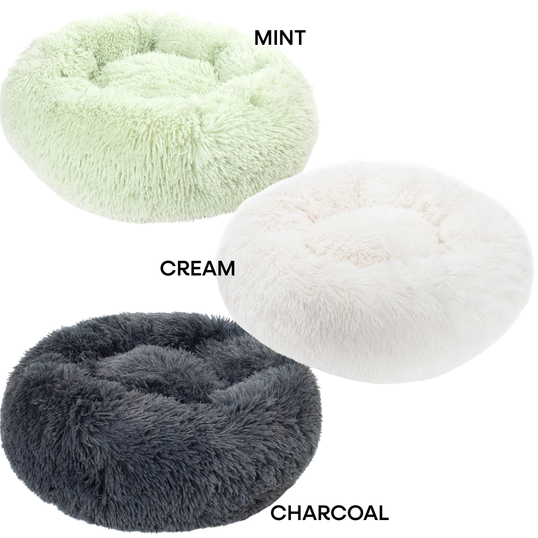 The Wallflower Bundle (For Shy Cats!) - Image 6