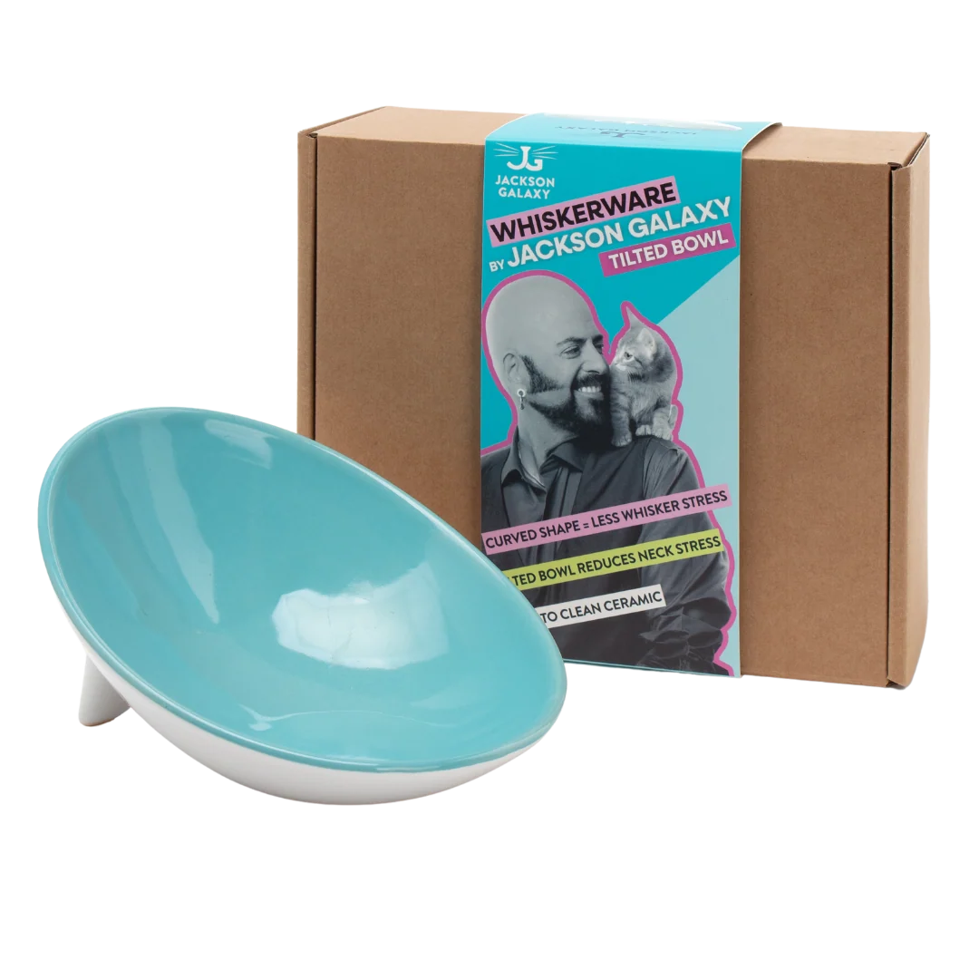 Whiskerware Ceramic Tilted Bowl - Image 2